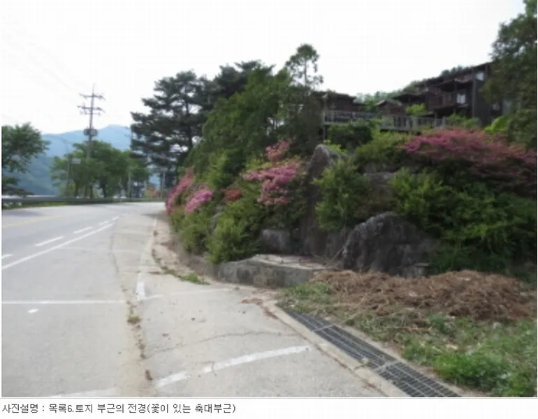사진 3