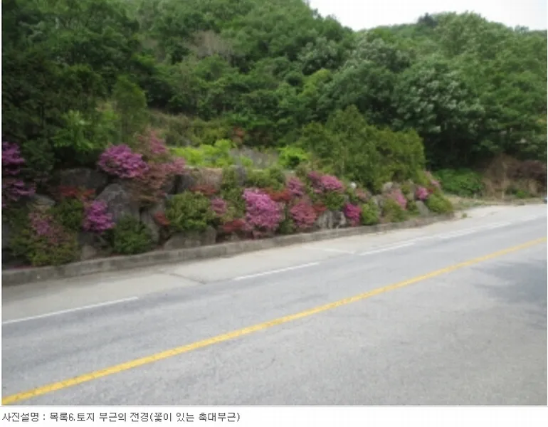 사진 4