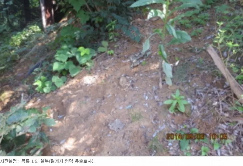 사진 12