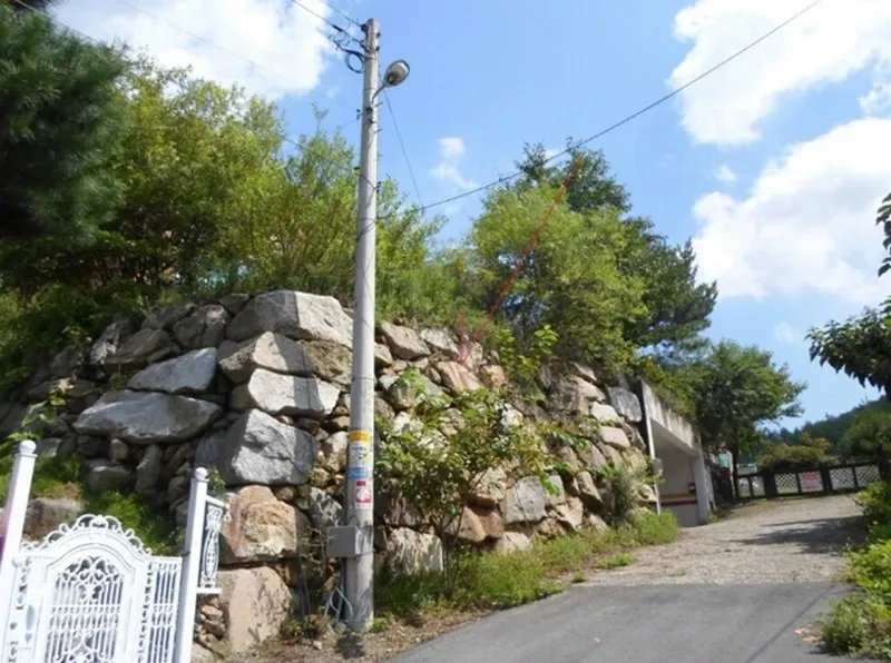 사진 2