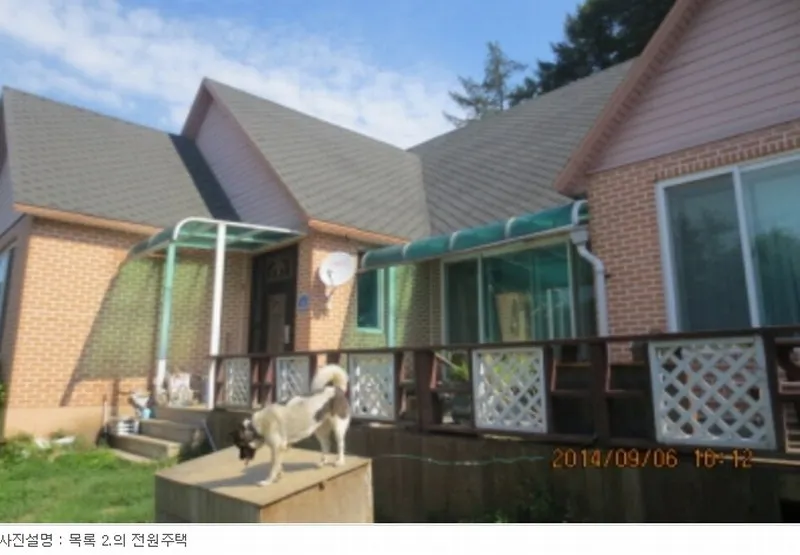 사진 5