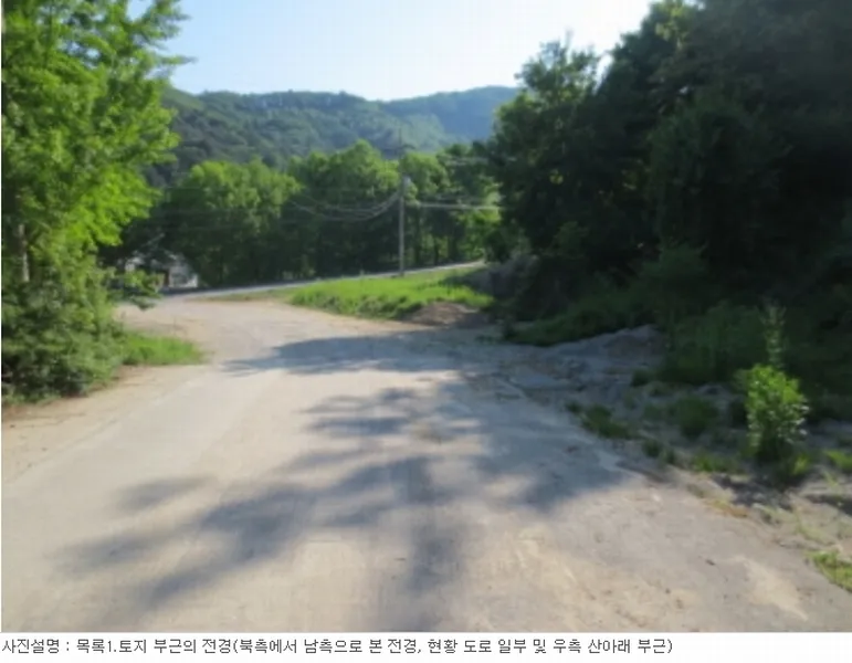 사진 10