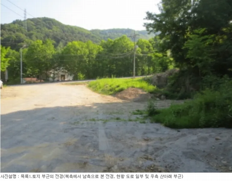사진 11