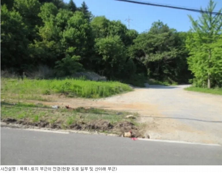 사진 9
