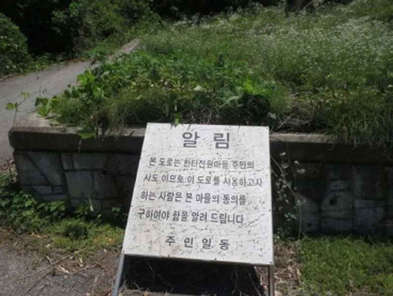 사진 10