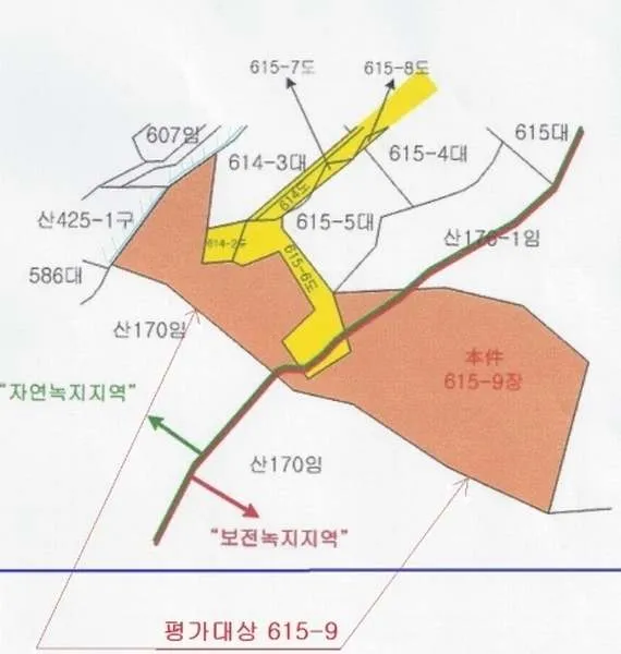 사진 12