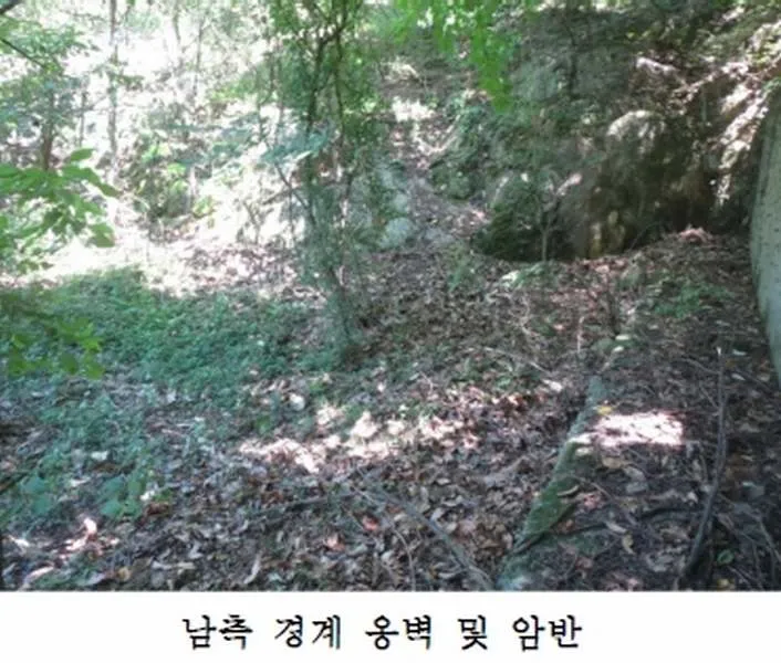 사진 7
