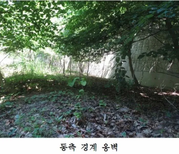 사진 8
