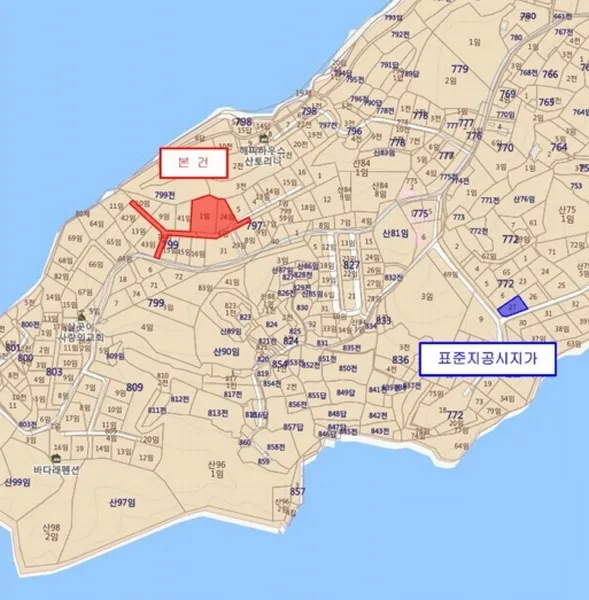 사진 11
