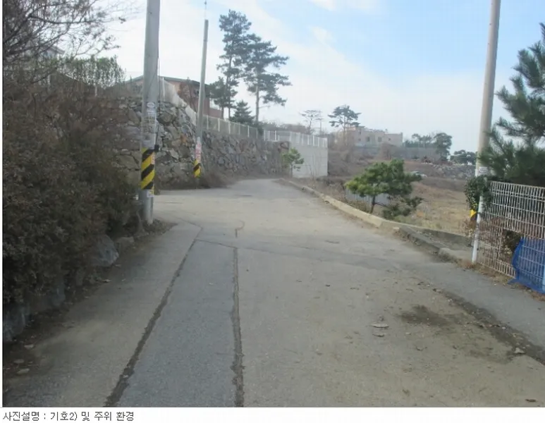 사진 2