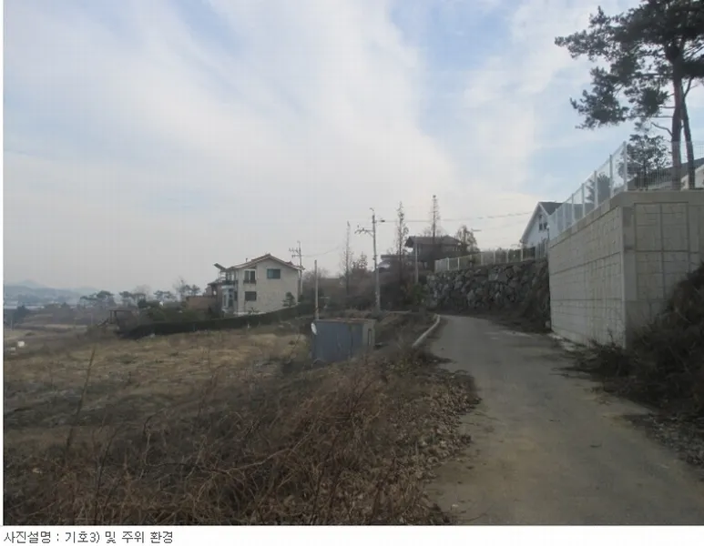 사진 3