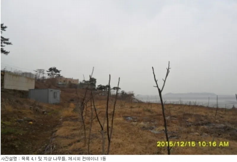 사진 4