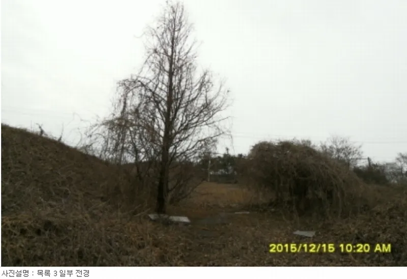 사진 8