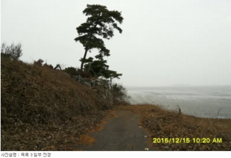 사진 9