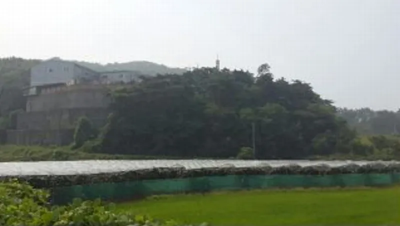 경기도 화성시 서신면 상안리 산120-3