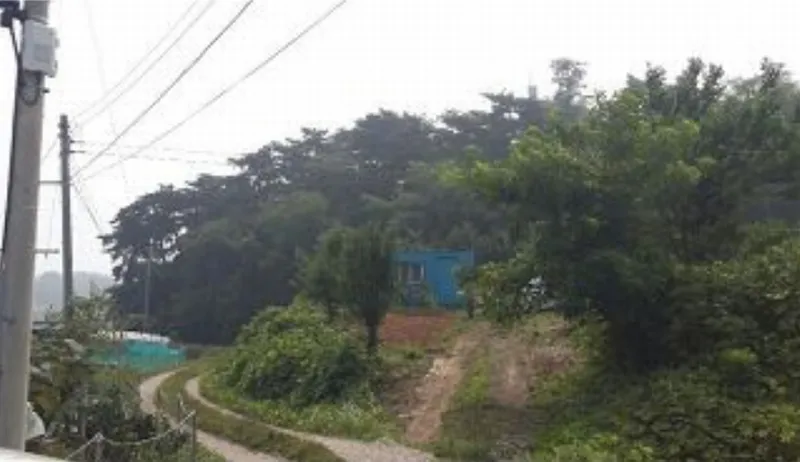 사진 2