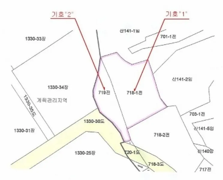 사진 11