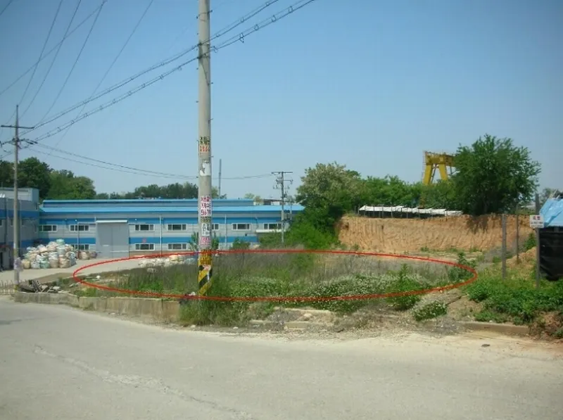 사진 3
