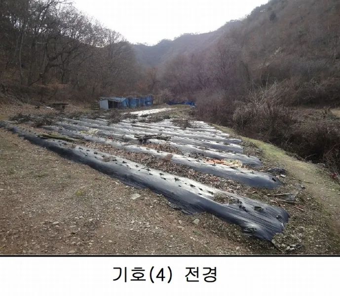 충청남도 논산시 벌곡면 사정리 343