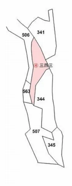 사진 4