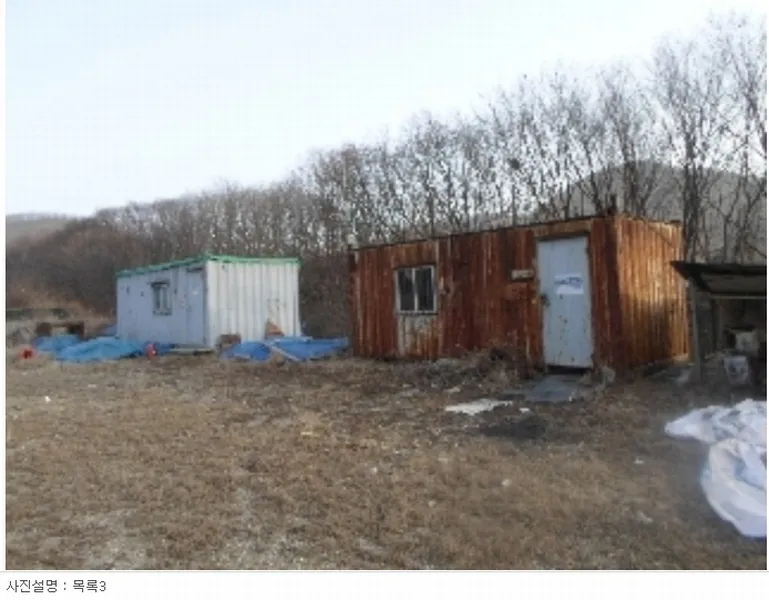 사진 5