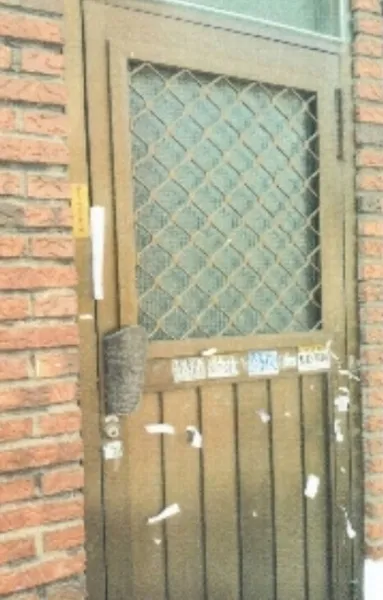 사진 11