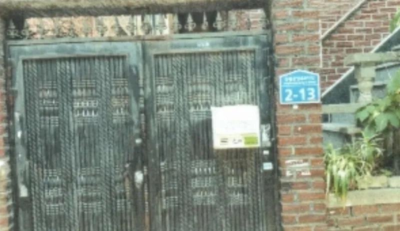 사진 11
