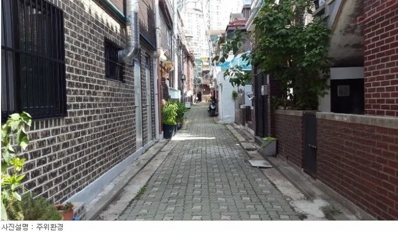사진 4