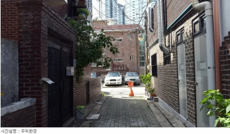 사진 5