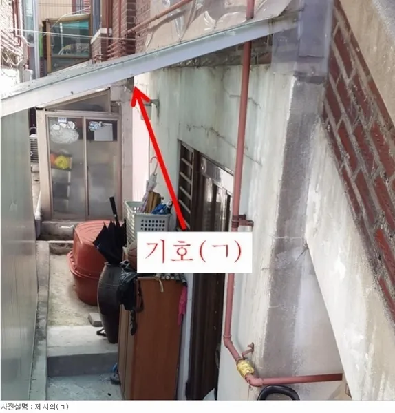 사진 6