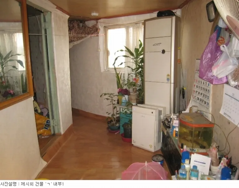 사진 10