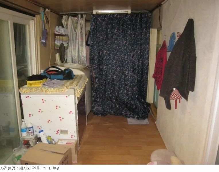 사진 12