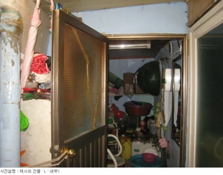 사진 13