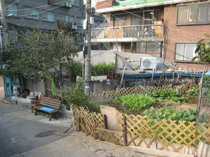 사진 3