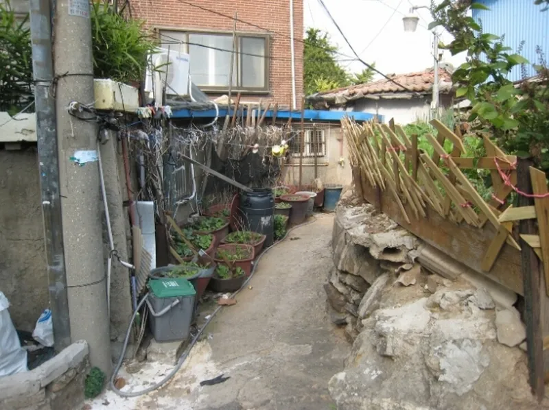 사진 7