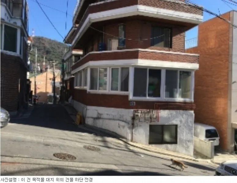 사진 7