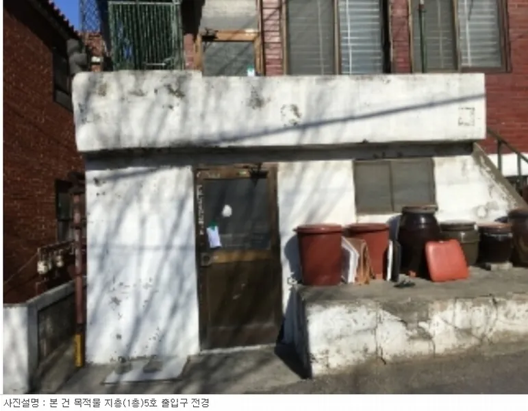 사진 13