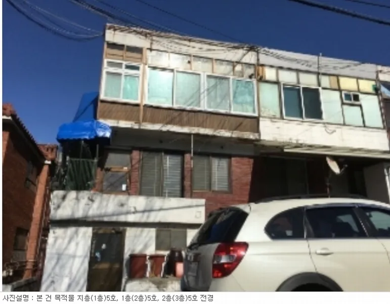 사진 5