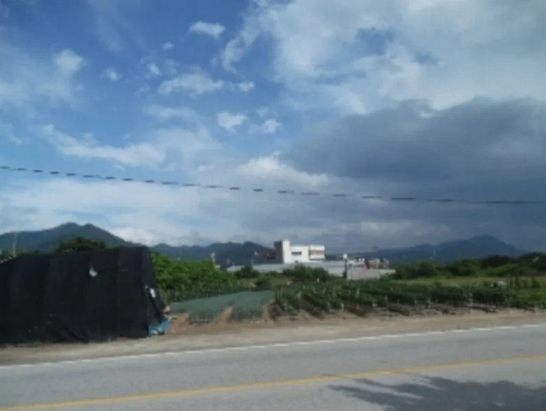 사진 4