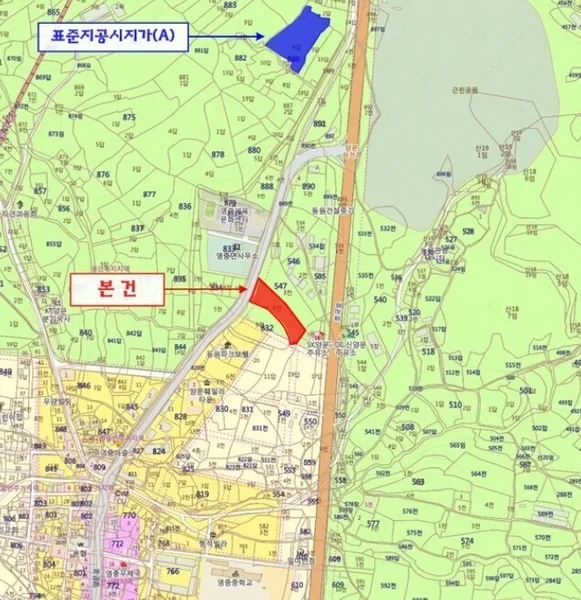 사진 9