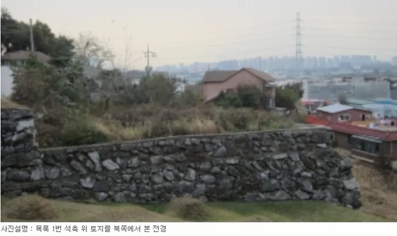 사진 10