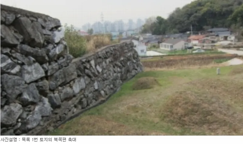 사진 11