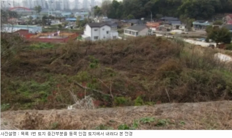 사진 13