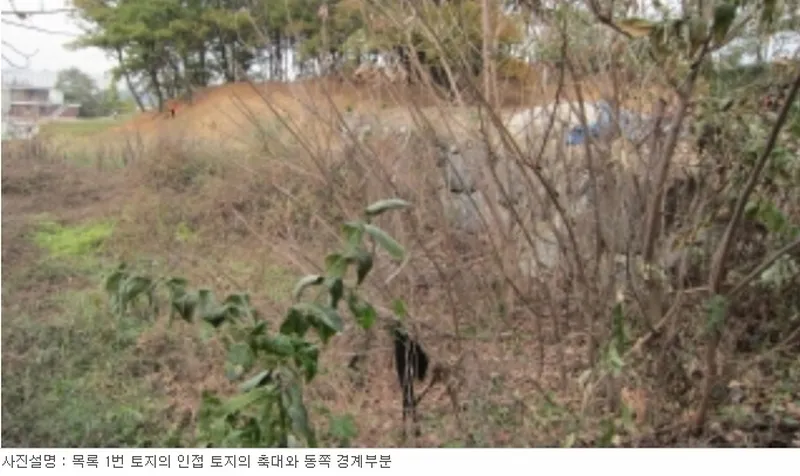 사진 14