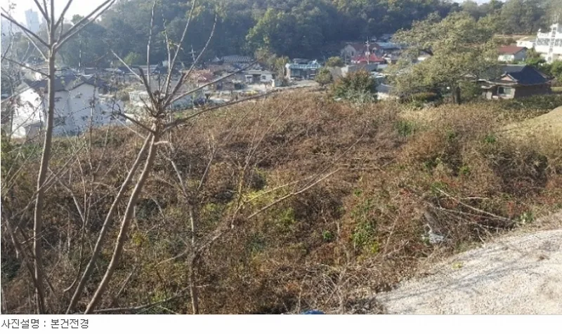 사진 4