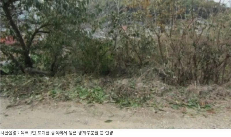 사진 5