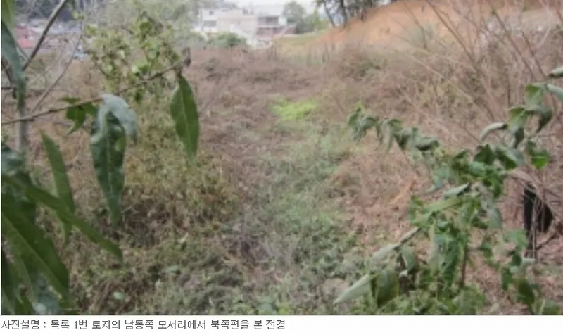 사진 6