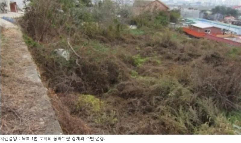 사진 7