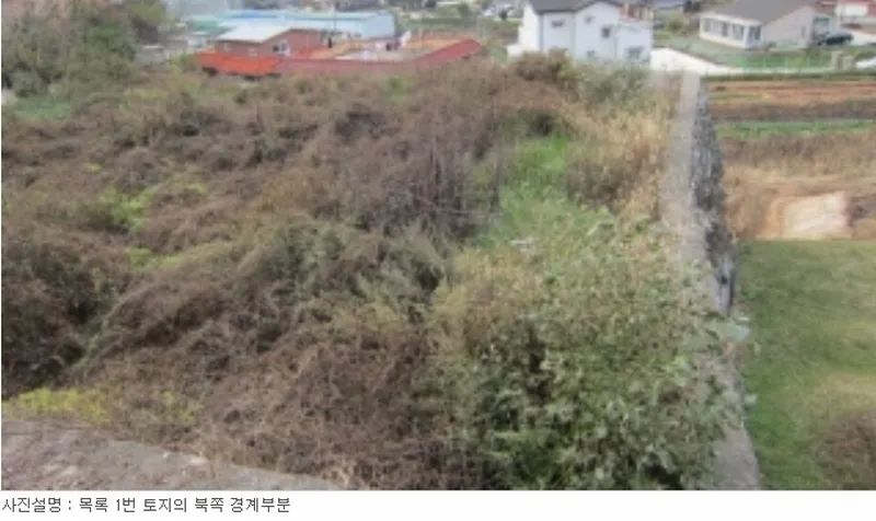 사진 8