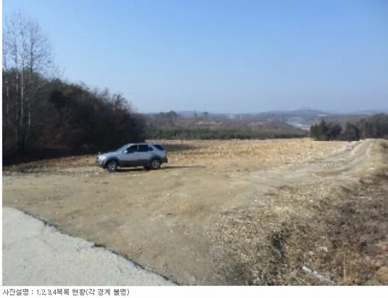 사진 5